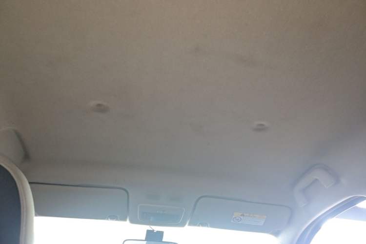 Used ORA Black Cat 2021 301km Cute Pet Edition Headliner