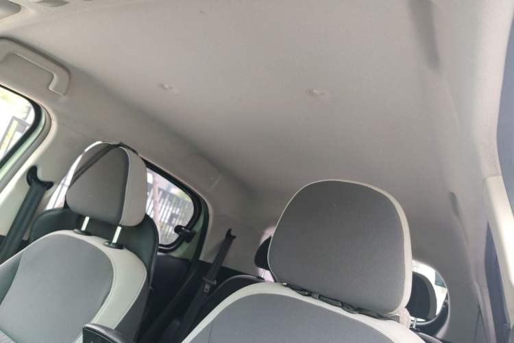 Used ORA Black Cat 2021 301km Cute Pet Edition Headliner