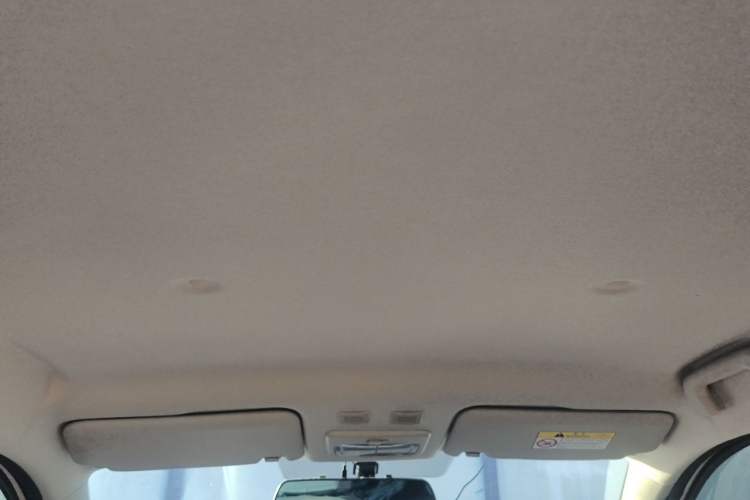Used ORA Black Cat 2021 301 km Basic Version Headliner