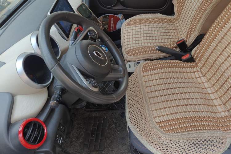 Used ORA Black Cat 2021 301 km Basic Version Left Front Seat