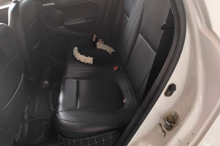 Used ORA Black Cat 2021 351 km Standard Version Left Rear Seat