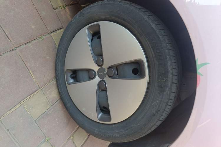 Used ORA Black Cat 2021 301 km Basic Version Right Front Wheel Hub
