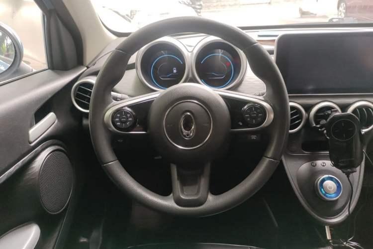 Used ORA Black Cat 2021 301 km Basic Version Steering Wheel