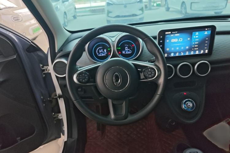 Used ORA Black Cat 2021 351 km Standard Version Steering Wheel