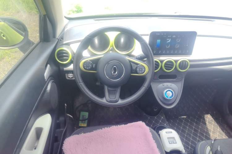 Used ORA Black Cat 2021 351 km Standard Version Steering Wheel