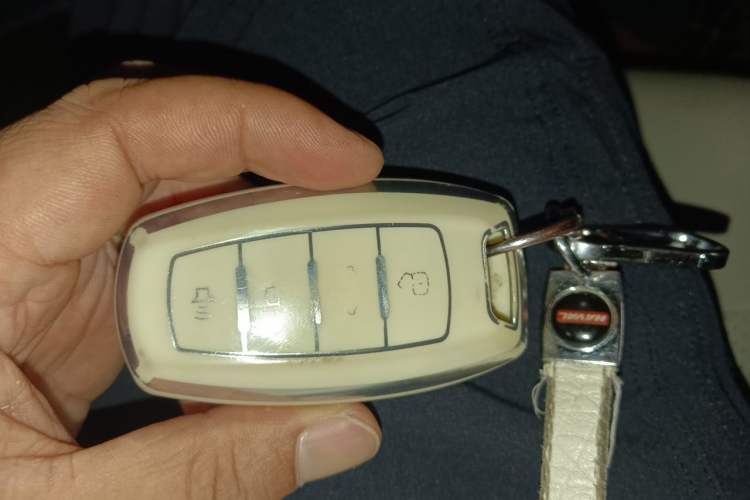 Used ORA Black Cat 2021 301 km Basic Version Vehicle Key