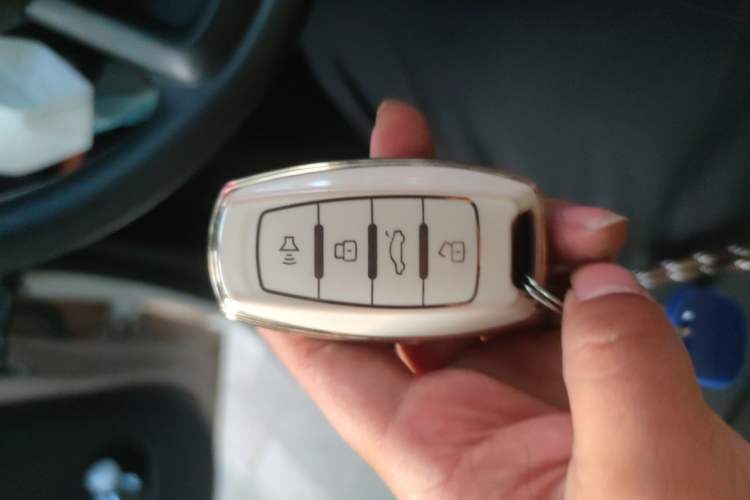 Used ORA Black Cat 2021 301 km Basic Version Vehicle Key
