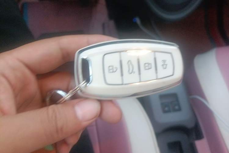 Used ORA Black Cat 2021 351 km Luxury Version Vehicle Key