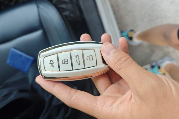 Used ORA Black Cat 2021 351 km Standard Version Vehicle Key