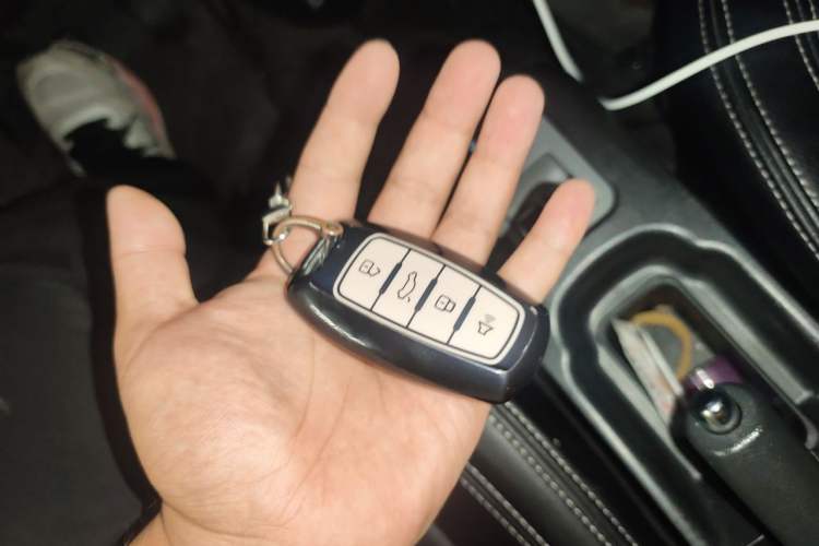 Used ORA Black Cat 2021 301 km Basic Version Vehicle Key