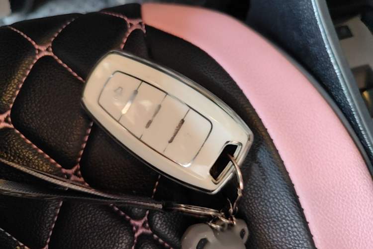 Used ORA Black Cat 2021 301 km Basic Version Vehicle Key
