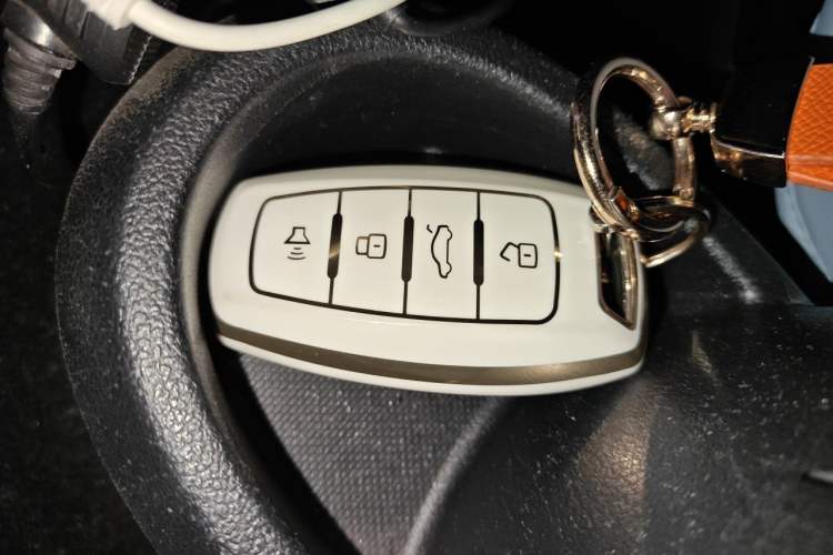 Used ORA Black Cat 2021 301 km Basic Version Vehicle Key