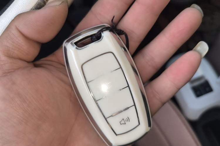 Used ORA Black Cat 2021 301 km Basic Version Vehicle Key