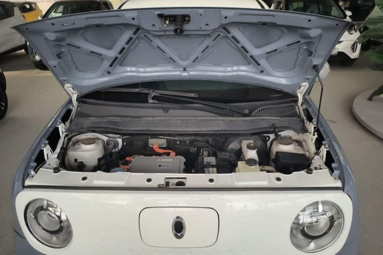 Used ORA Black Cat 2021 351 km Standard Version Engine Bay