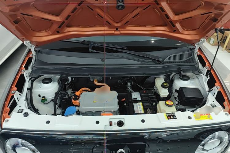 Used ORA Black Cat 2021 351 km Luxury Version Engine Bay
