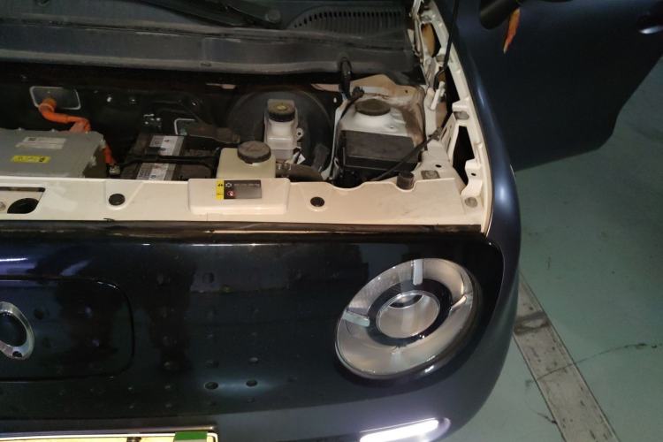 Used ORA Black Cat 2021 351 km Luxury Version Engine Bay Left