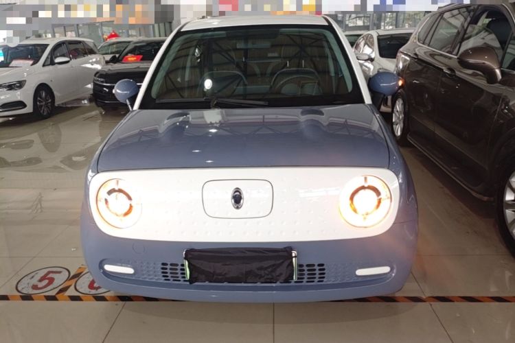 Used ORA Black Cat 2021 301km Cute Pet Edition Front