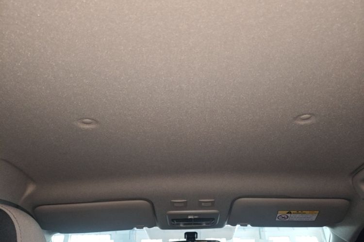 Used ORA Black Cat 2021 301km Cute Pet Edition Headliner