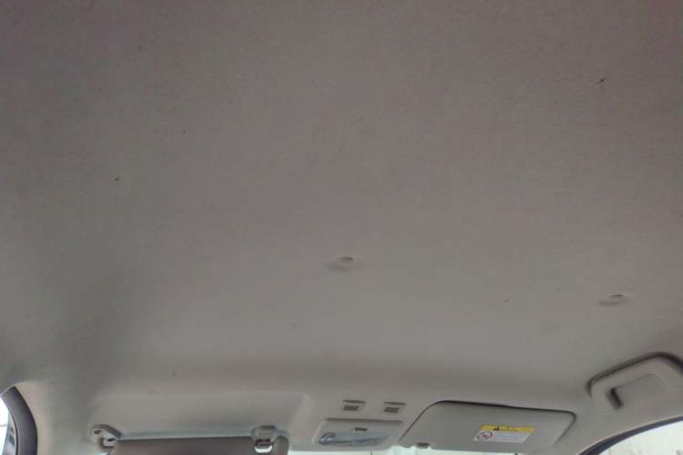 Used ORA Black Cat 2021 301 km Basic Version Headliner