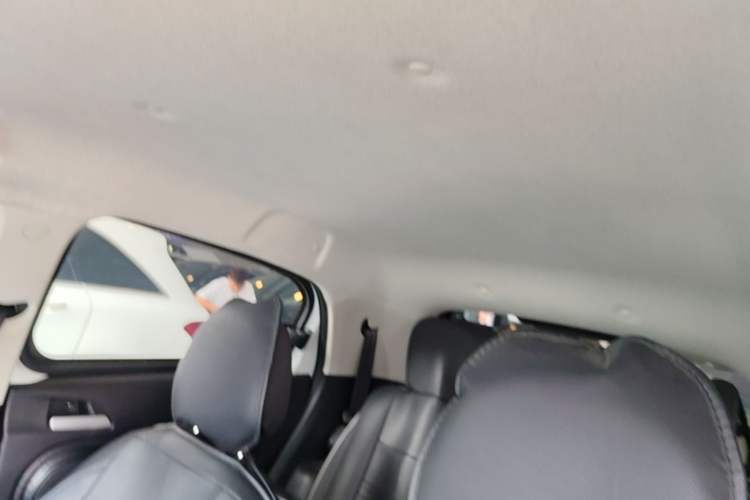 Used ORA Black Cat 2021 301km Cute Pet Edition Headliner