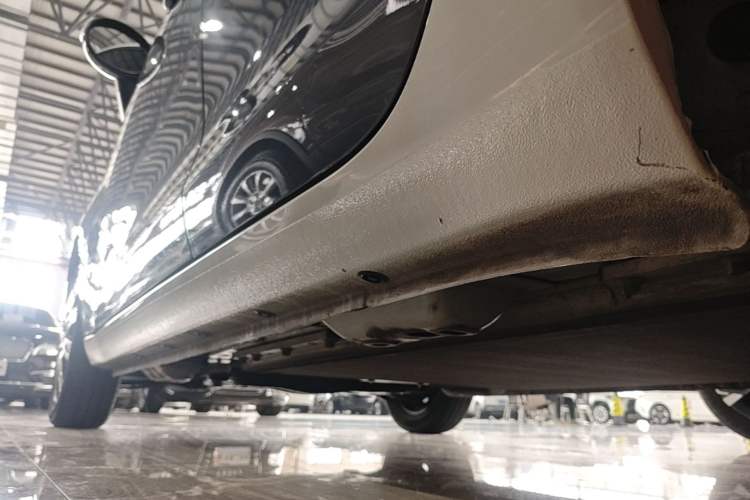 Used ORA Black Cat 2021 301km Cute Pet Edition Left Side Sill