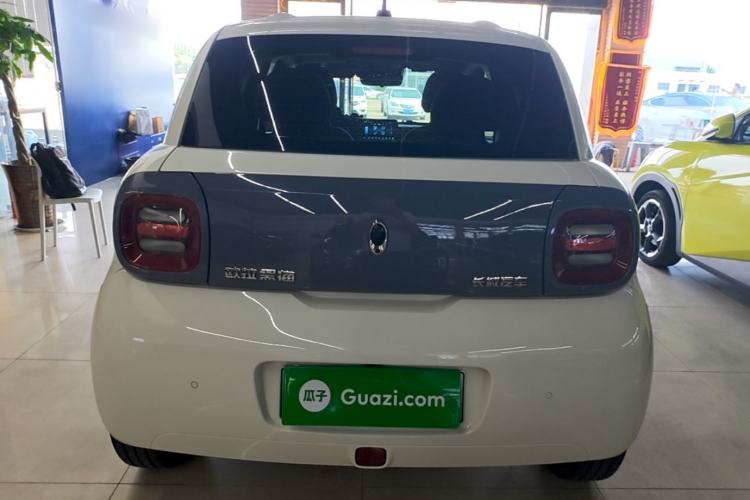 Used ORA Black Cat 2021 405 km Long-Range Version Rear