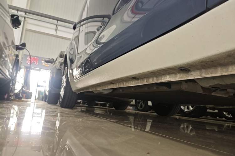 Used ORA Black Cat 2021 301km Cute Pet Edition Right Side Sill