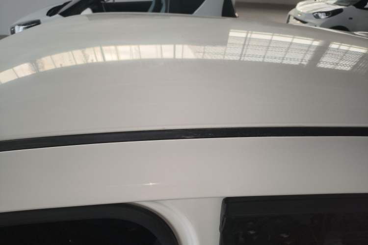 Used ORA Black Cat 2021 351 km Standard Version Roof