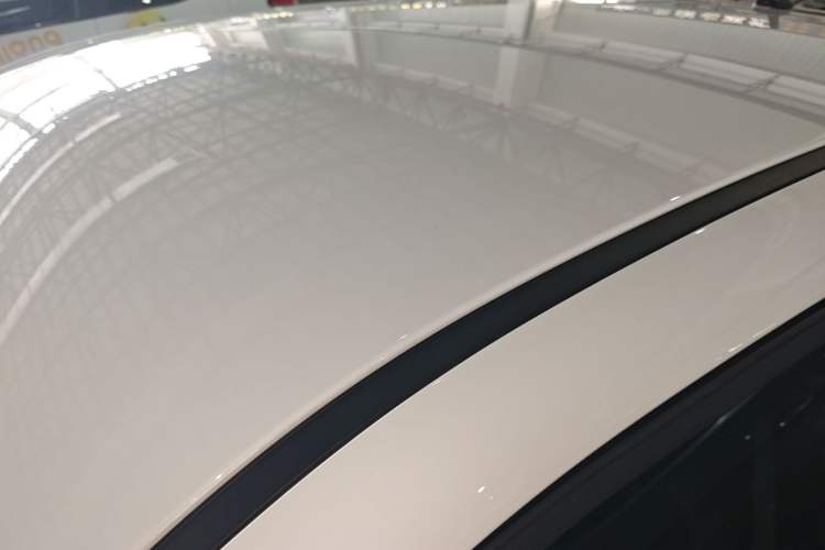 Used ORA Black Cat 2021 301km Cute Pet Edition Roof