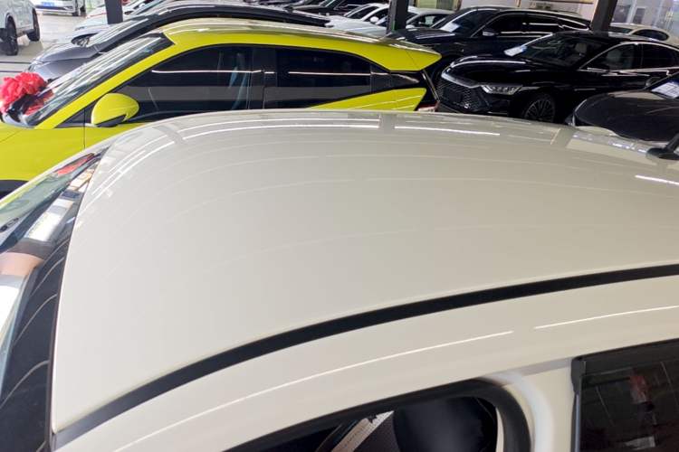 Used ORA Black Cat 2021 405 km Long-Range Version Roof