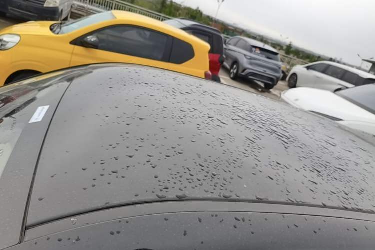 Used ORA Black Cat 2021 351 km Luxury Version Roof