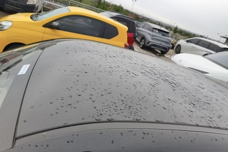 Used ORA Black Cat 2021 351 km Luxury Version Roof