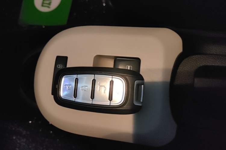 Used ORA Black Cat 2021 301 km Basic Version Vehicle Key
