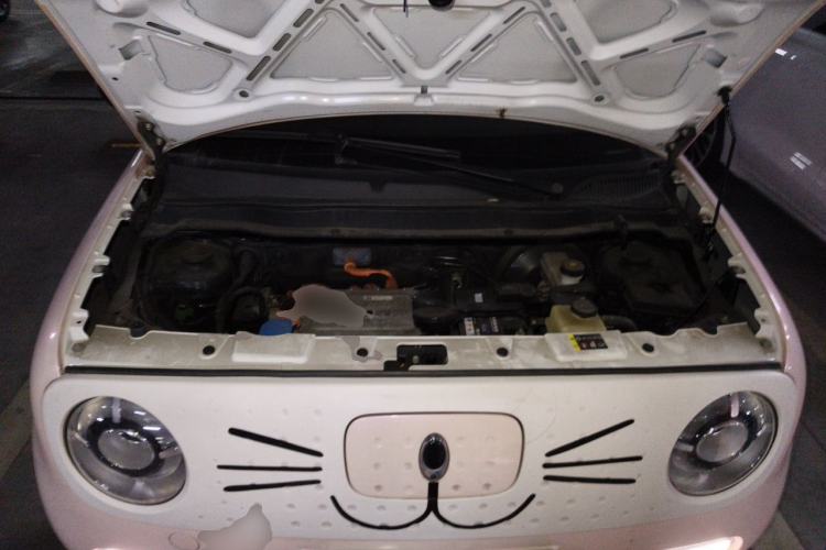 Used ORA Black Cat 2021 351 km Luxury Version Engine Bay