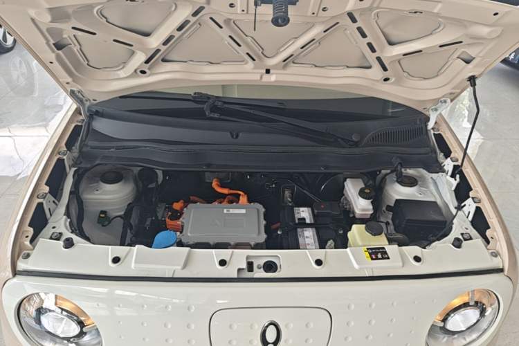 Used ORA Black Cat 2021 301 km Basic Version Engine Bay