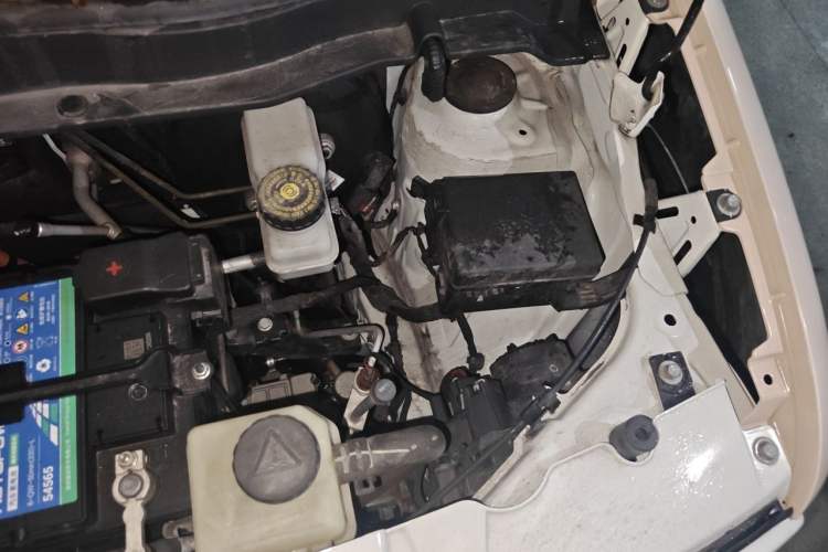 Used ORA Black Cat 2021 301km Cute Pet Edition Engine Bay Left