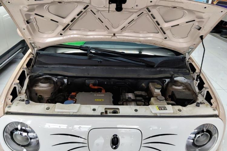 Used ORA Black Cat 2021 301km Cute Pet Edition Engine Bay