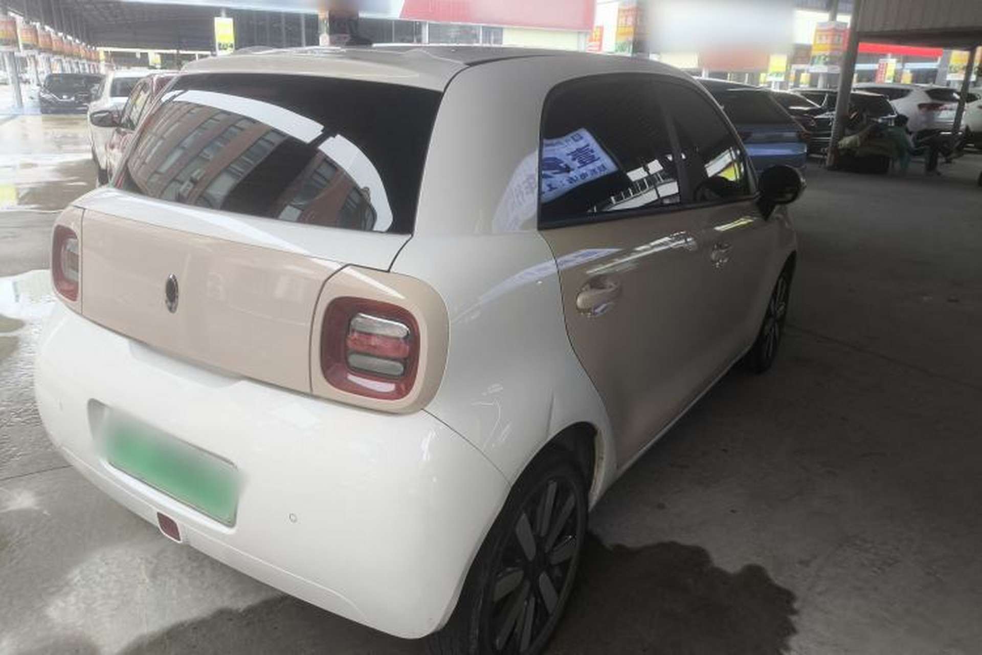 Used ORA Black Cat 2021 301km Cute Pet Edition Exterior 6