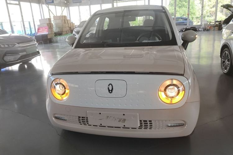 Used ORA Black Cat 2021 351 km Standard Version Front