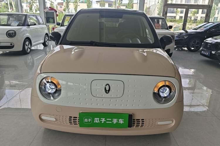 Used ORA Black Cat 2021 301 km Basic Version Front