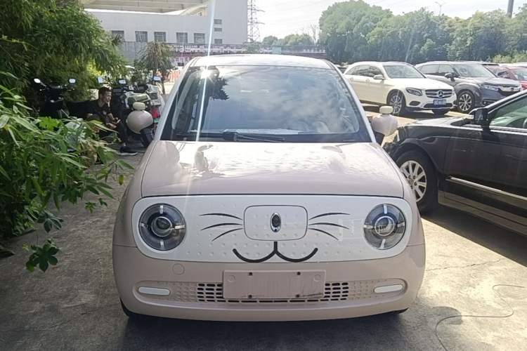 Used ORA Black Cat 2021 301km Cute Pet Edition Front