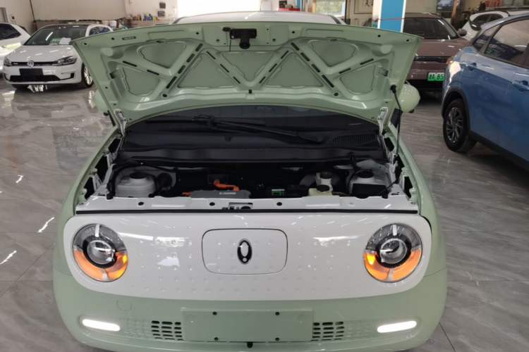 Used ORA Black Cat 2021 351 km Standard Version Engine Bay