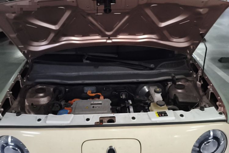 Used ORA Black Cat 2021 351 km Luxury Version Engine Bay