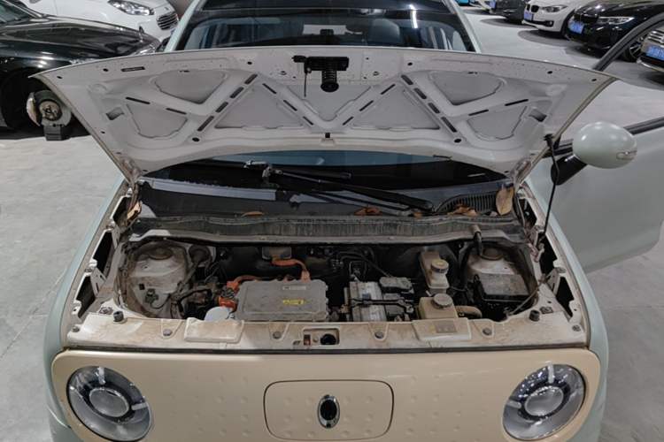 Used ORA Black Cat 2021 301 km Basic Version Engine Bay