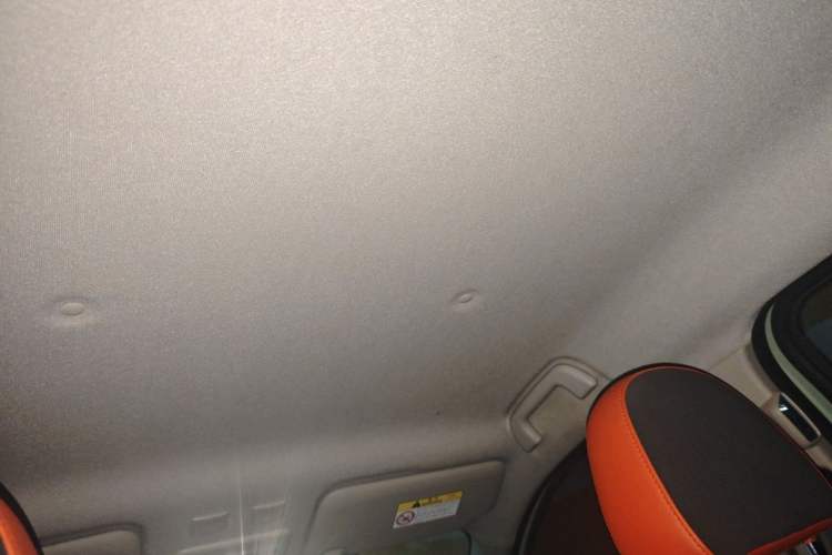 Used ORA Black Cat 2021 351 km Luxury Version Headliner