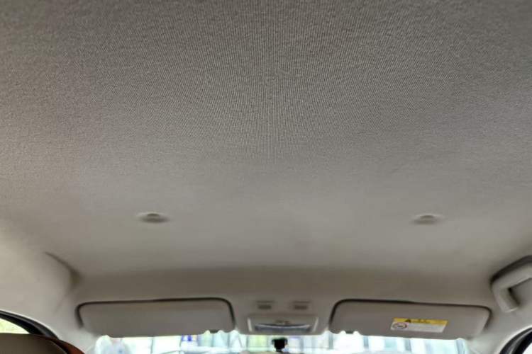 Used ORA Black Cat 2021 301 km Basic Version Headliner