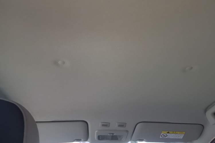 Used ORA Black Cat 2021 301km Cute Pet Edition Headliner