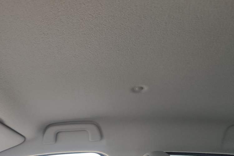 Used ORA Black Cat 2021 301 km Basic Version Headliner