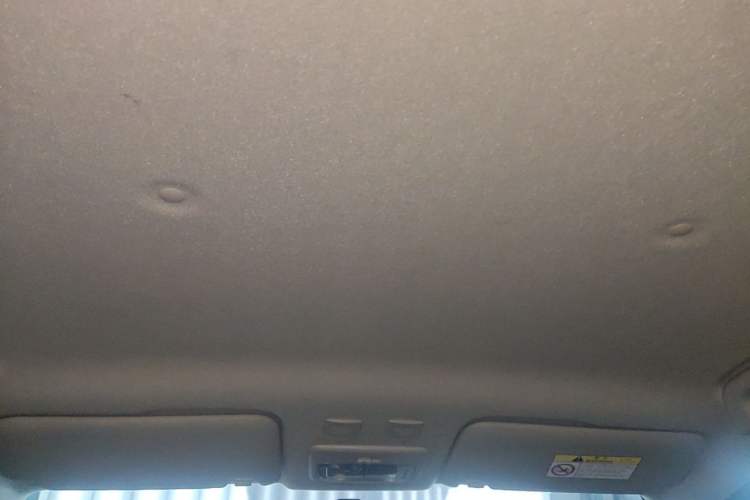 Used ORA Black Cat 2021 301 km Basic Version Headliner