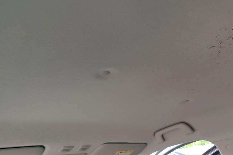Used ORA Black Cat 2021 301 km Basic Version Headliner